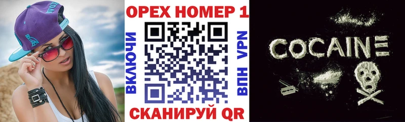 КОКАИН Эквадор  блэк спрут зеркало  Гудермес 