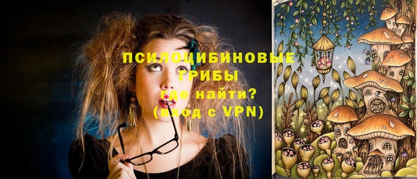 прущие крисы Верхний Тагил