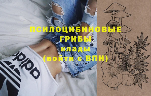 прущие крисы Верхний Тагил